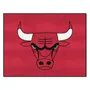 Fan Mats Chicago Bulls All-Star Rug - 34 In. X 42.5 In.