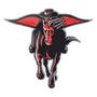 Fan Mats Texas Tech Red Raiders Heavy Duty Aluminum Embossed Color Emblem - Alternate