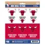 Fan Mats Chicago Bulls 12 Count Mini Decal Sticker Pack